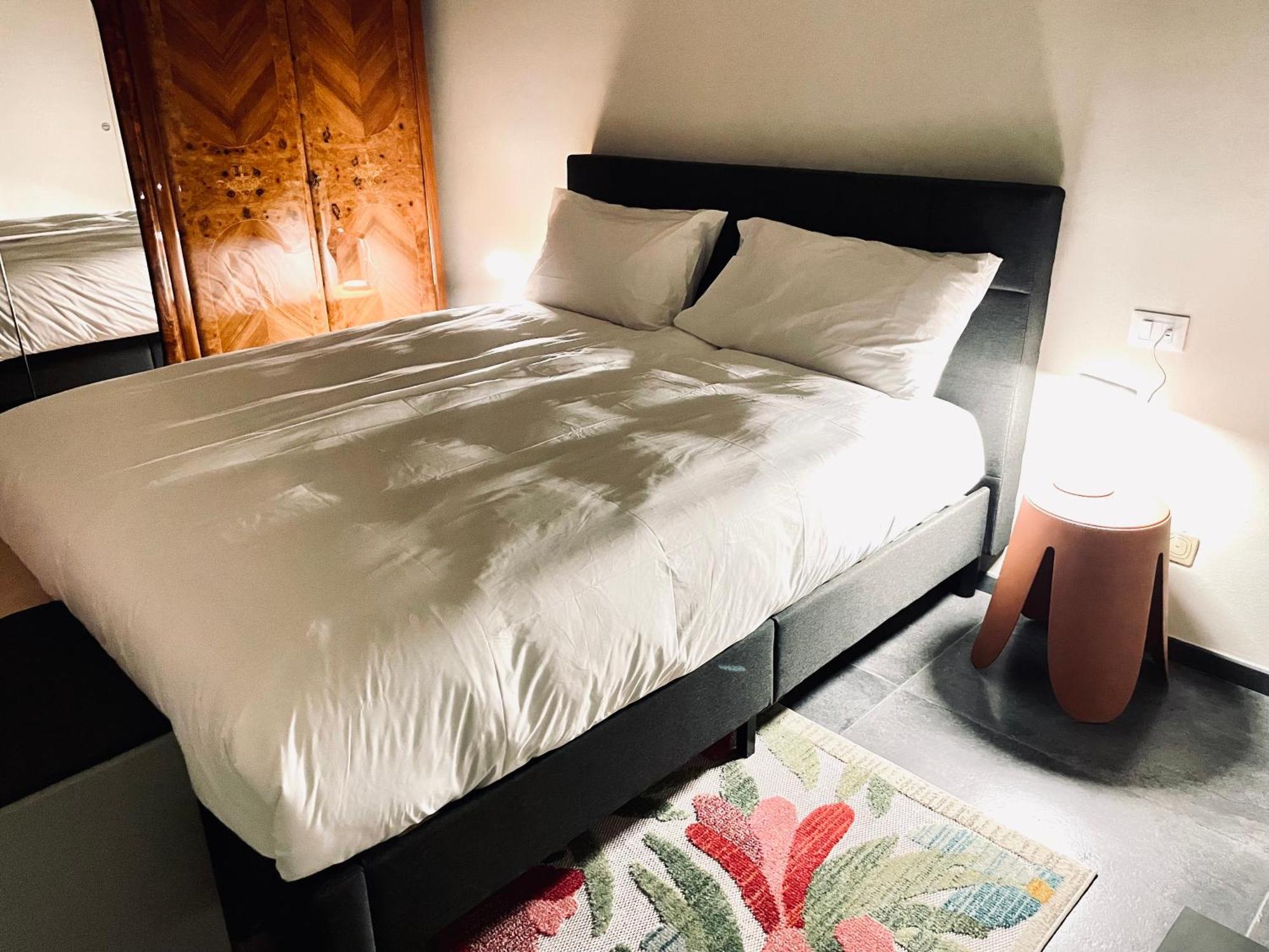 Appartamento 33 Borgo Ticino Lux Free Parking & Private Garden Pavia Esterno foto