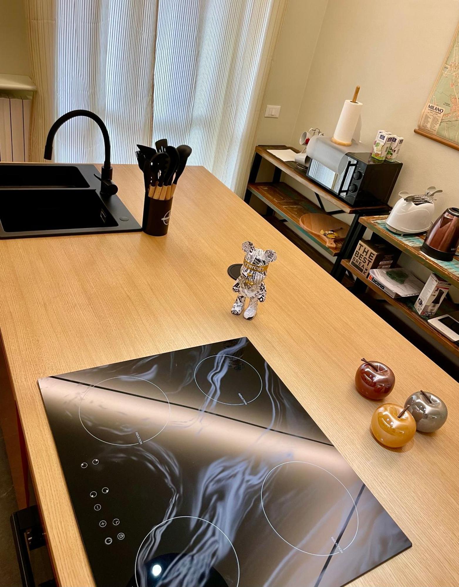Appartamento 33 Borgo Ticino Lux Free Parking & Private Garden Pavia Esterno foto